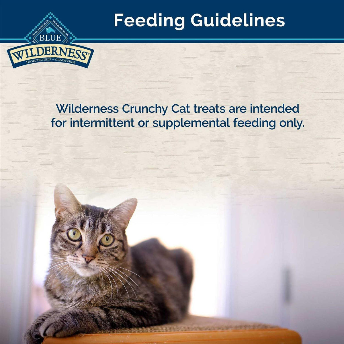 Crunchy Cat Treats H646