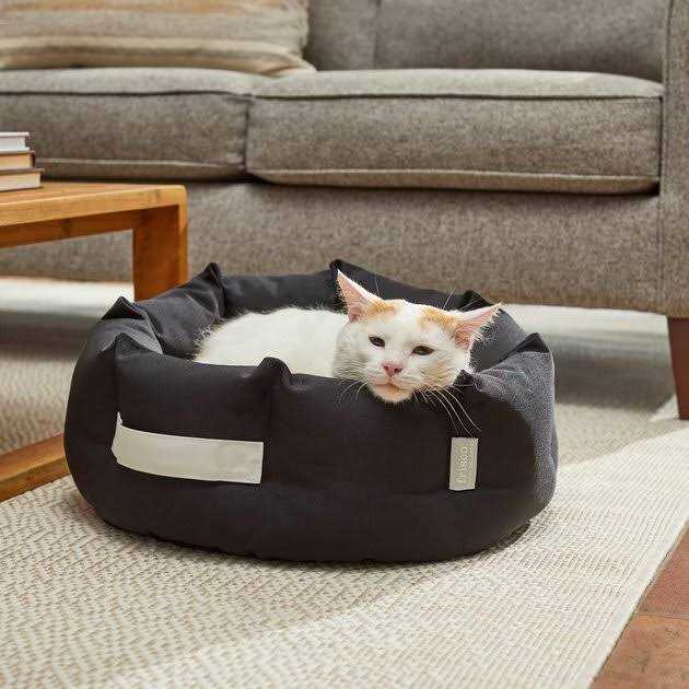 Indoor/Outdoor Bolster Cat & Dog Bed Z22169