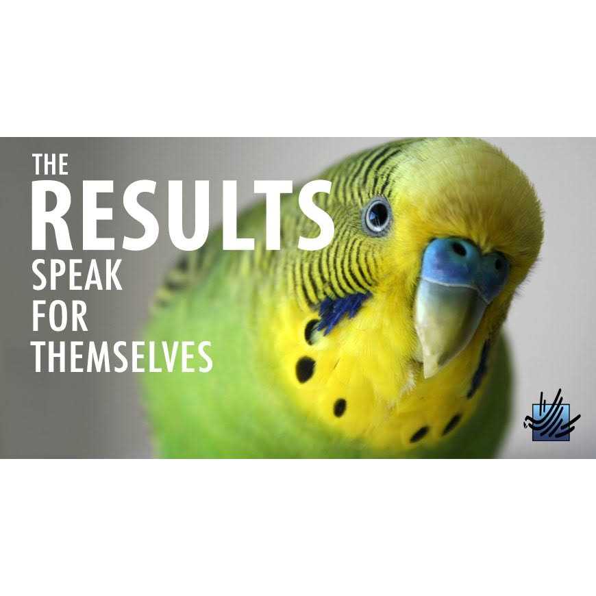 High Potency Fine Bird Foods N3110