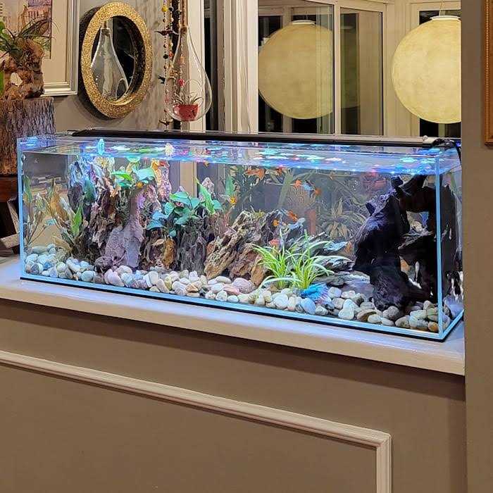 Crystal Bookshelf Aquarium M58300