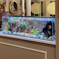 Crystal Bookshelf Aquarium M58300