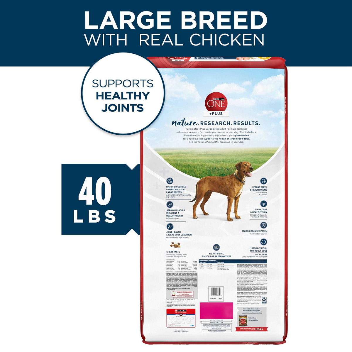 Natural Large Breed Adult Dry Dog Food Z7581
