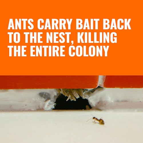 12 Count Liquid Ant Bait Stations Q259