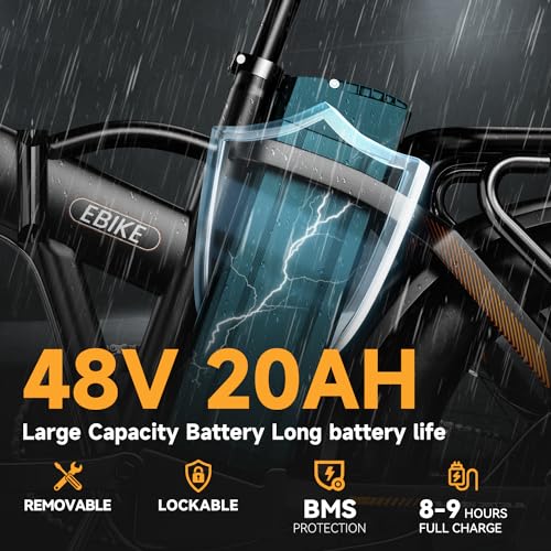 20" Fat Tire 1000W Electric Bike with 48V 20AH Removable Battery J55560