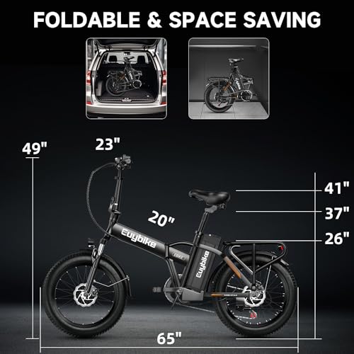 20" Fat Tire 1000W Electric Bike with 48V 20AH Removable Battery J55560