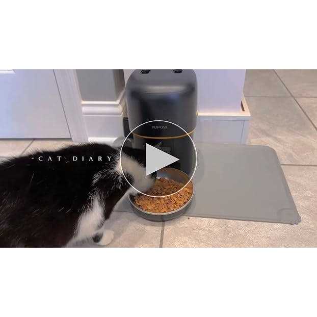 Automatic Cat Feeders 8cup/68oz Cat Food Dispenser I730774