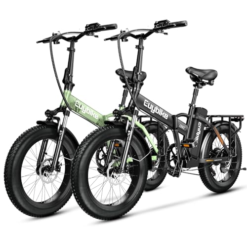 20" Fat Tire 1000W Electric Bike with 48V 20AH Removable Battery J55560