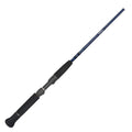 Spinning Rod C9054