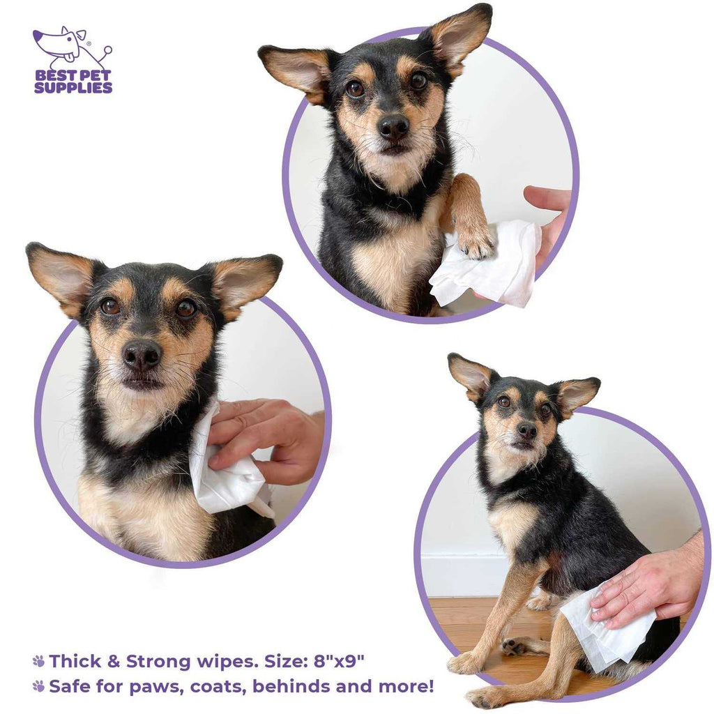 Plant-Based Pet Grooming Wipes A343969