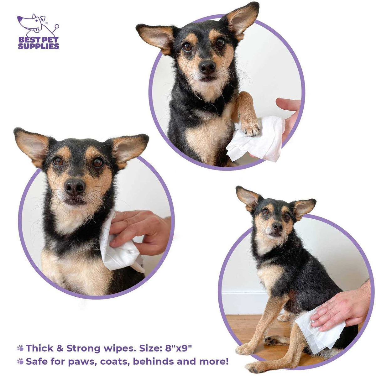 Plant-Based Pet Grooming Wipes A343969