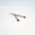 1750 Piece Stainless Steel Deck Screws S209