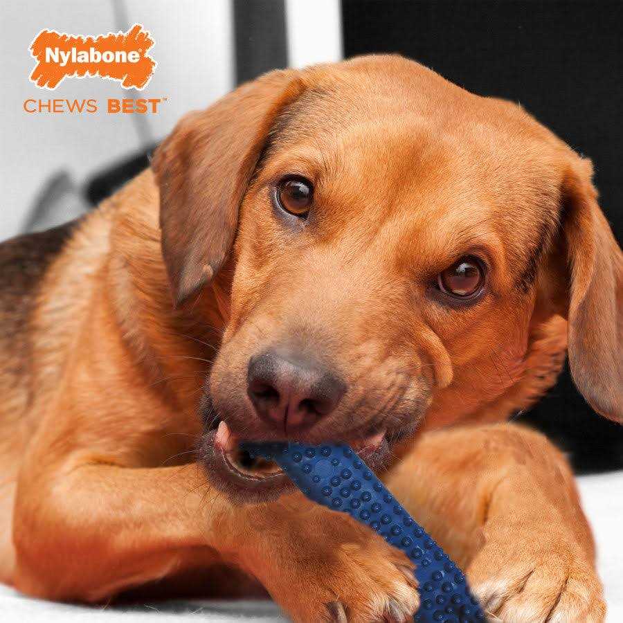 Dental Chew L1182