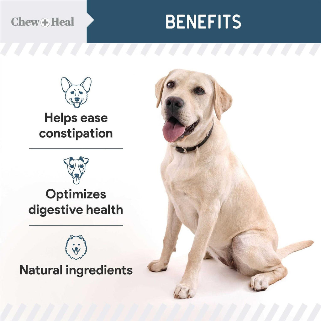 Digestive Enzymes & Probiotics Supplement for Dogs N81941