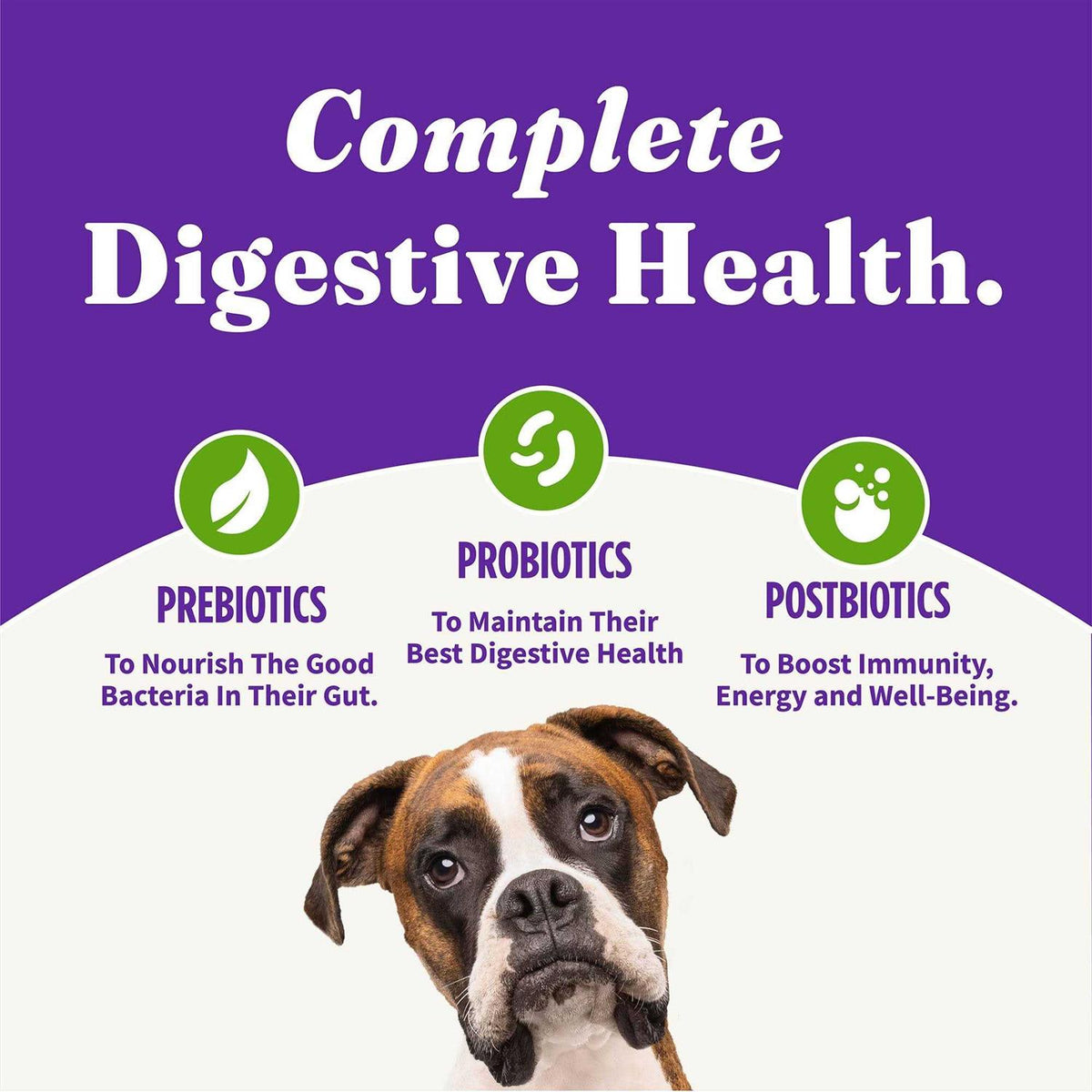 Adult Dry Dog Food E404357