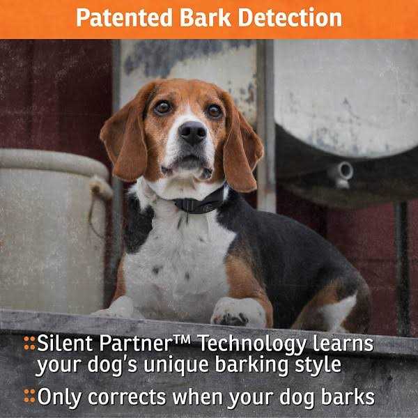 NoBark Collar O370772