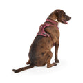 Canvas Dog Harness C31233