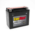 AGM PowerSport Battery Group Size 20LBS 12 Volt 270 CCA O595533