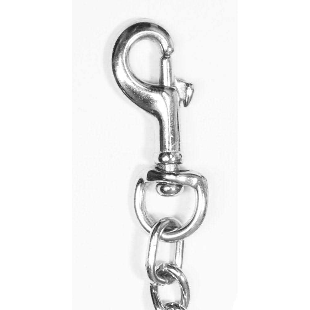 5' Nylon & Steel Chain Dog Leash P279