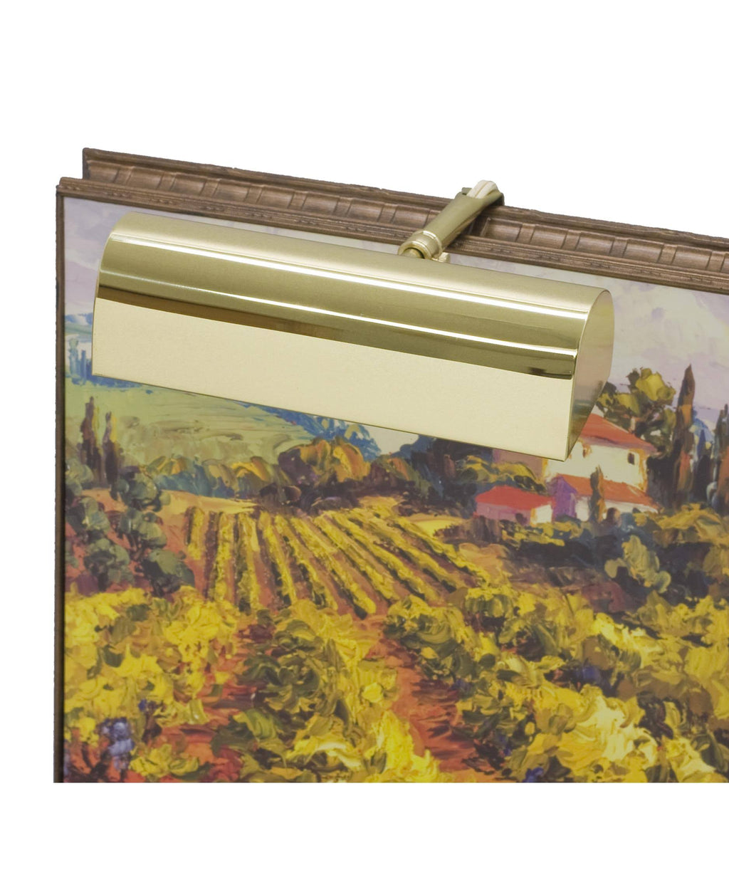 Polished Brass Picture Light I9651