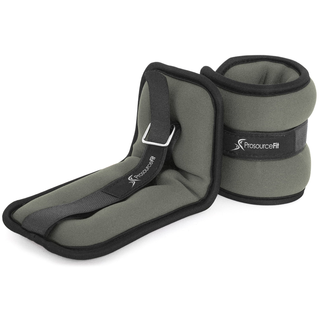 Ankle Weights 2.5 Set of 2 Purple A12554