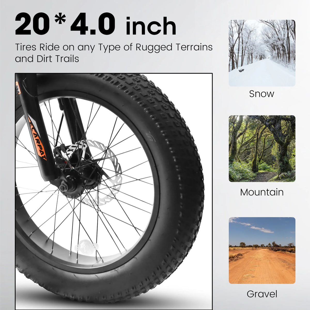 20 Inch Fat Tire Mountain Bike with Dual Disc Brake High-Carbon Steel Frame U6378