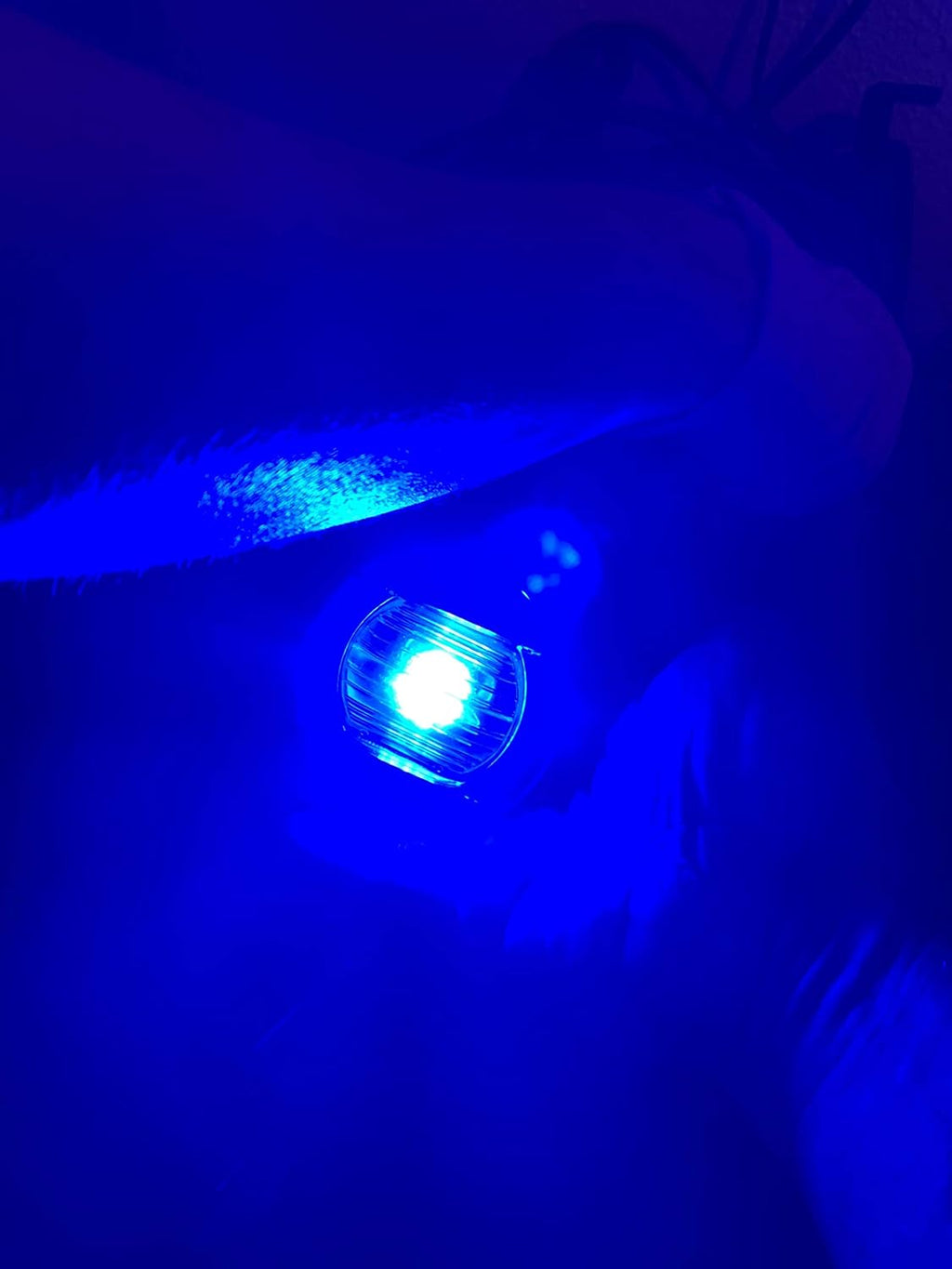 Caution Blue LED Flush Mount Light K655610