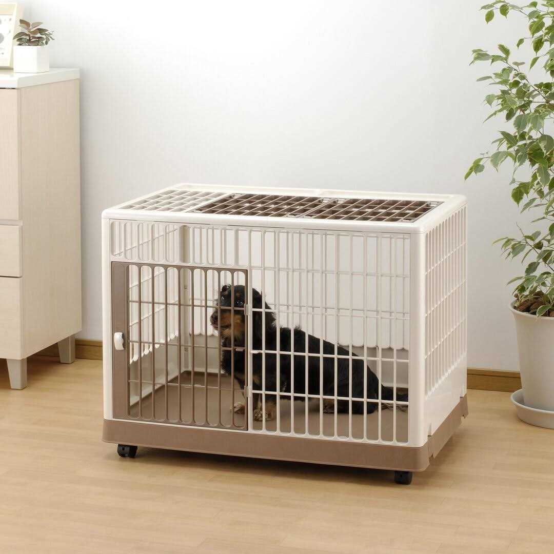 Pet Training Kennel P865
