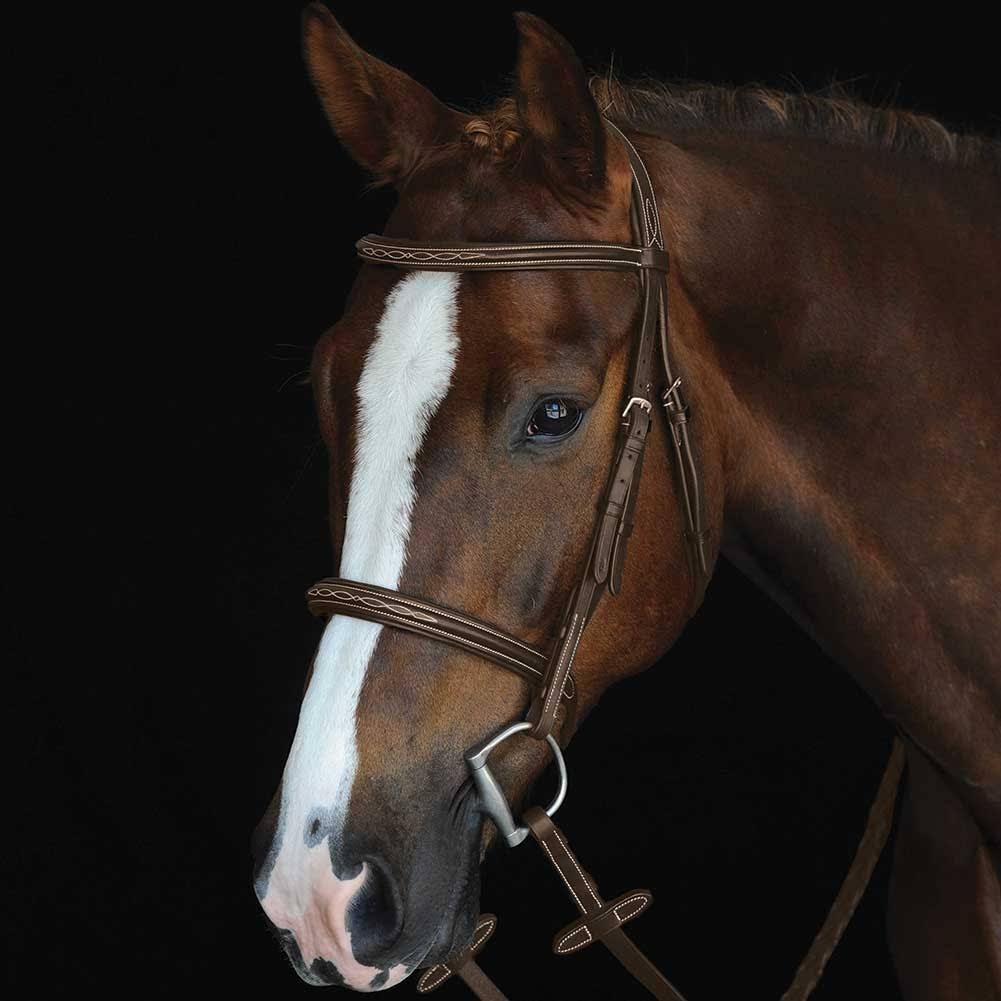 Brown Fancy Stitched Raised Cavesson Bridle F448918