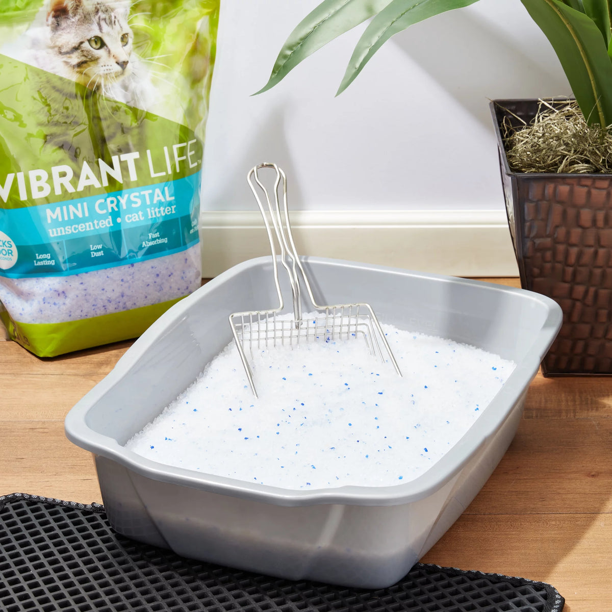 Mini Unscented Cat Litter, 8 lb W6105
