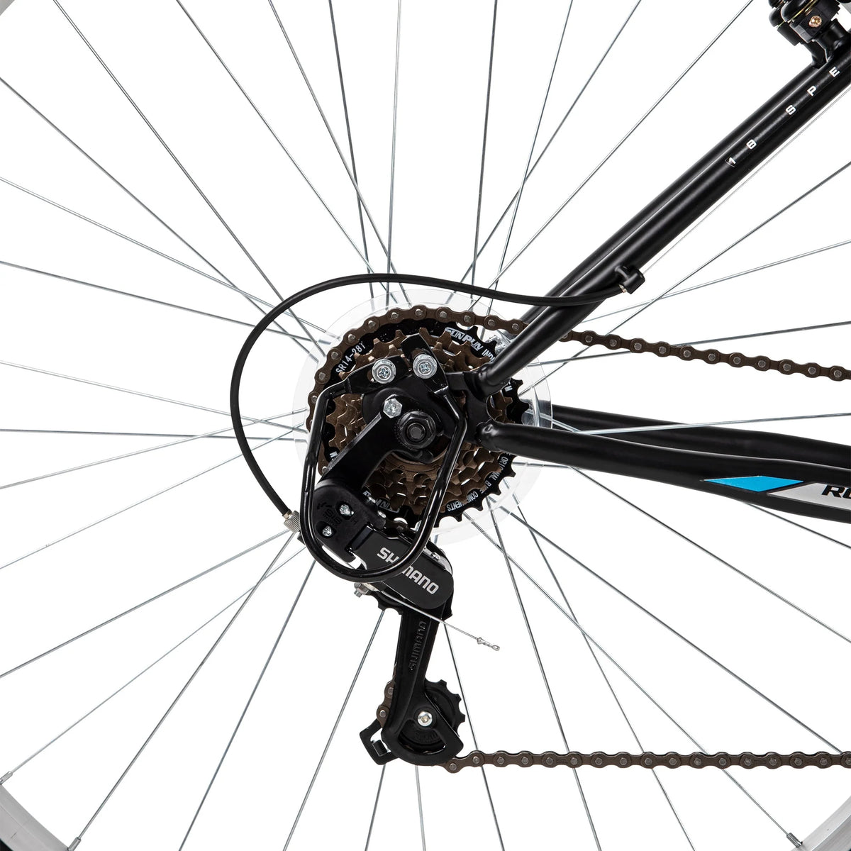 Black Mountain Bike R361518