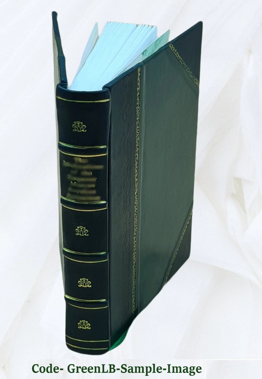 Cultivation of Vegetables in Glass Houses Leather Bound H666