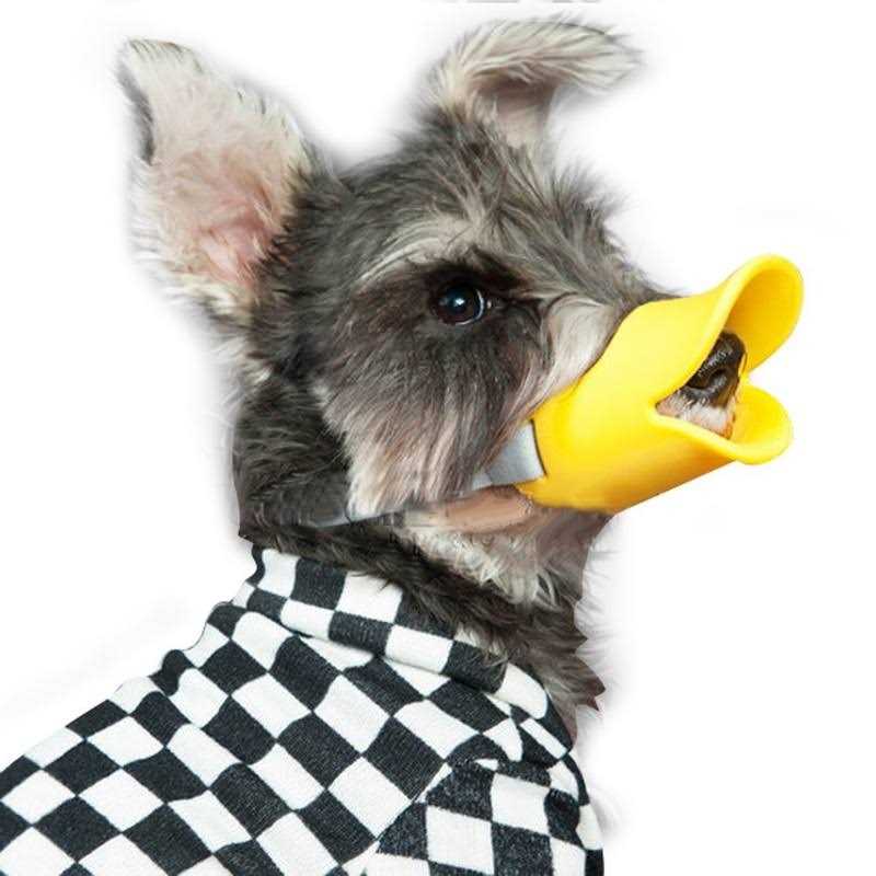 Anti Bite Dog Mouth Covers Muzzle Masks V832841